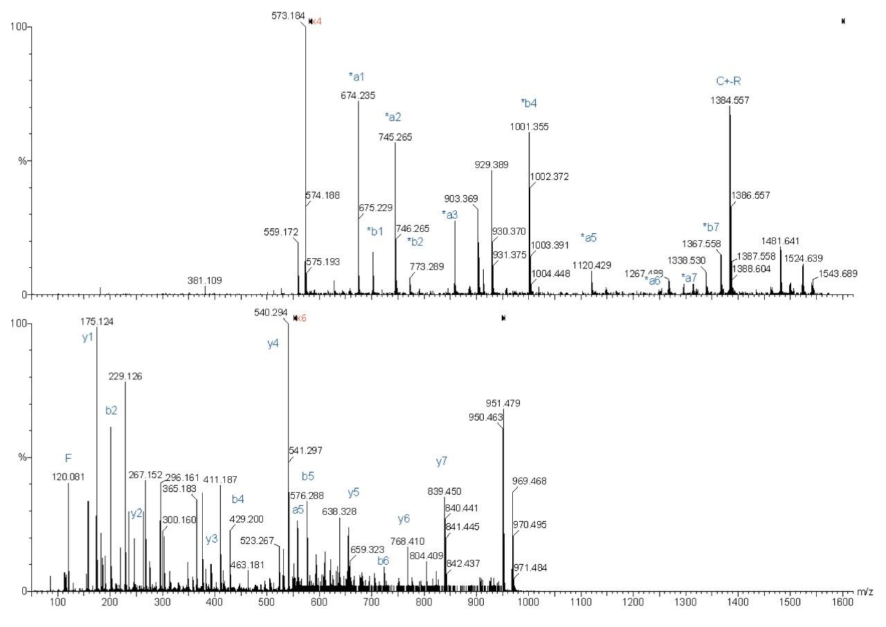 Peptide HH+=968.48 Da (EALDFFAR).