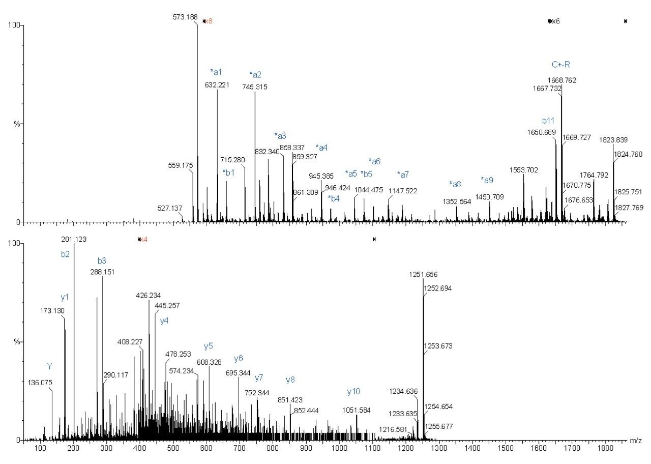 Peptide MH+=1251.67 Da (SISIVGSYVGNR).