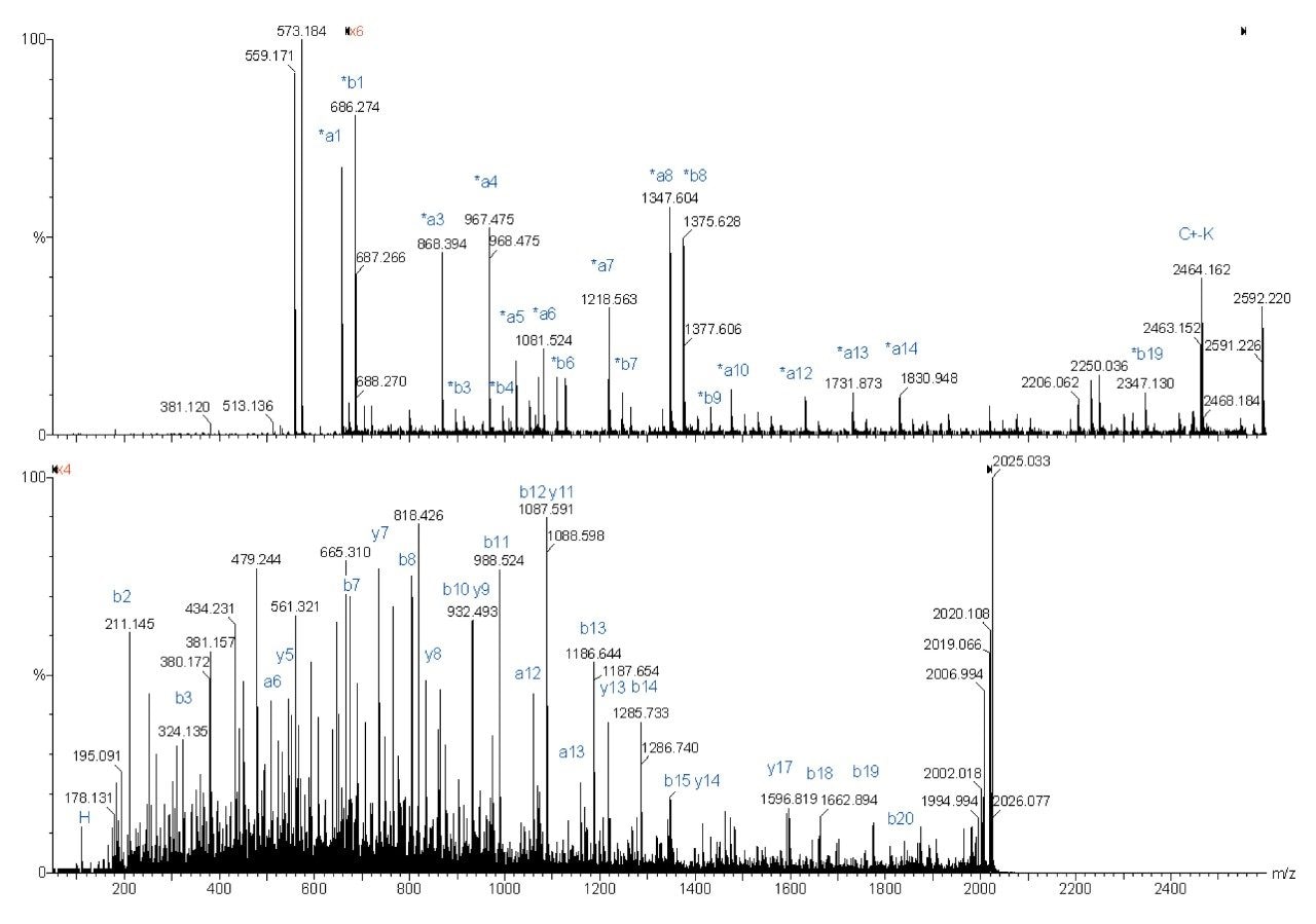 Peptide MH+=2019.07 Da (LPLVGGHEGAGVVVGMGENVK).