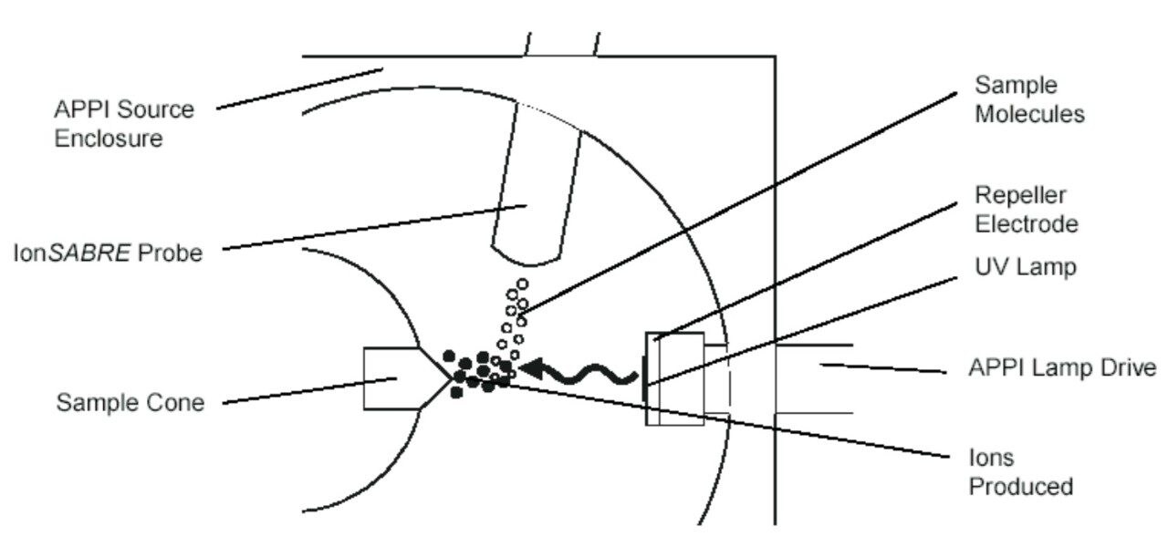 A schematic diagram of the new APPI source