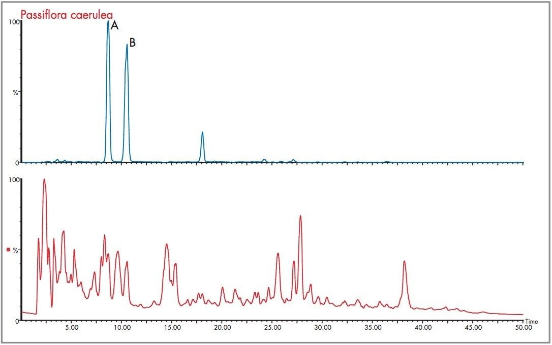 Passiflora caerulea extract electrospray negative ion mode total ion chromatogram and m/z 447 extracted mass chromatogram.