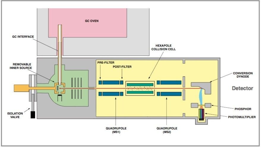 Waters Micromass Quattro micro GC schematic