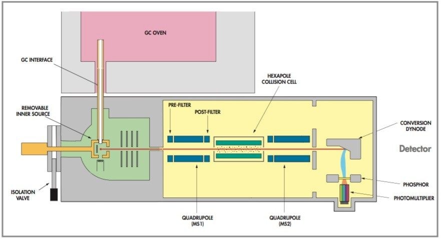 Waters Micromass Quattro micro GC instrument schematic