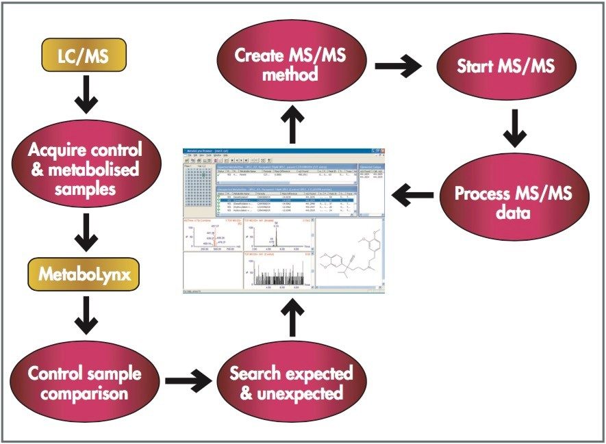 Bioanalytical strategy for in vitro metabolite screening using LC-MS/MS.