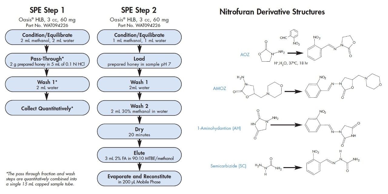SPE Protocol Summary.