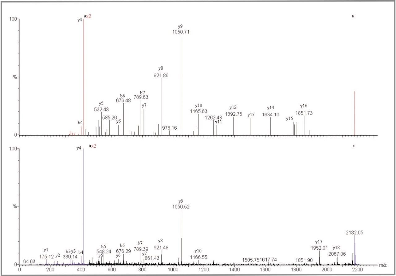 Comparison of Q-Tof Ultima MALDI spectrum and MALDI micro MX PSD spectrum.
