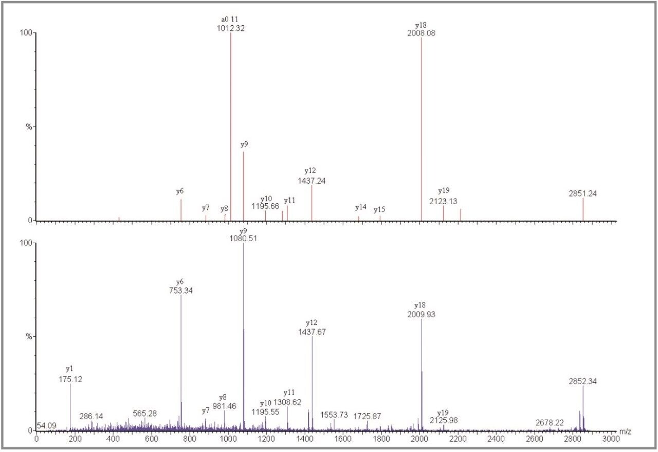 Comparison of Q-Tof Ultima MALDI spectrum and MALDI micro MX PSD spectrum.