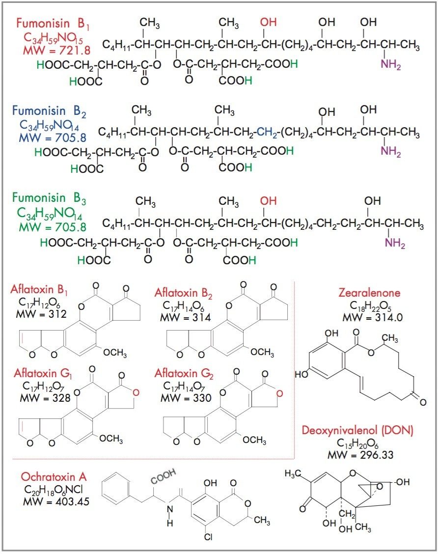 Mycotoxin structures.