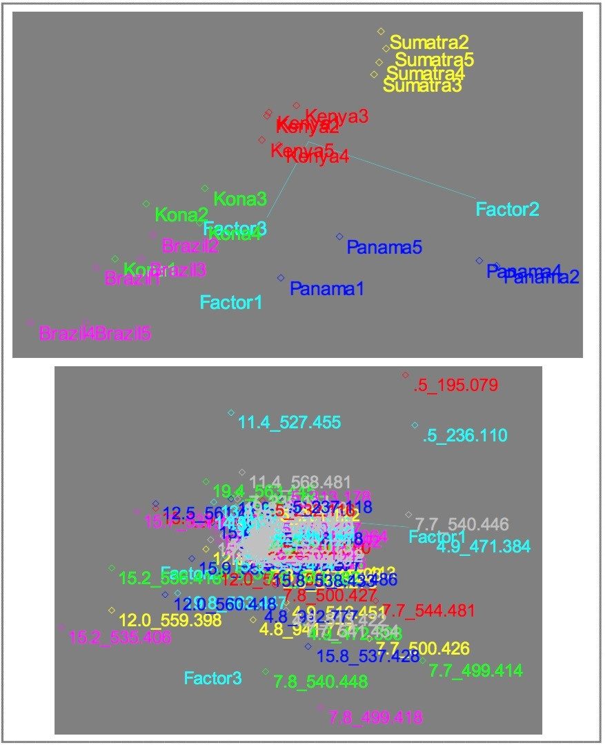 scores and loadings plots