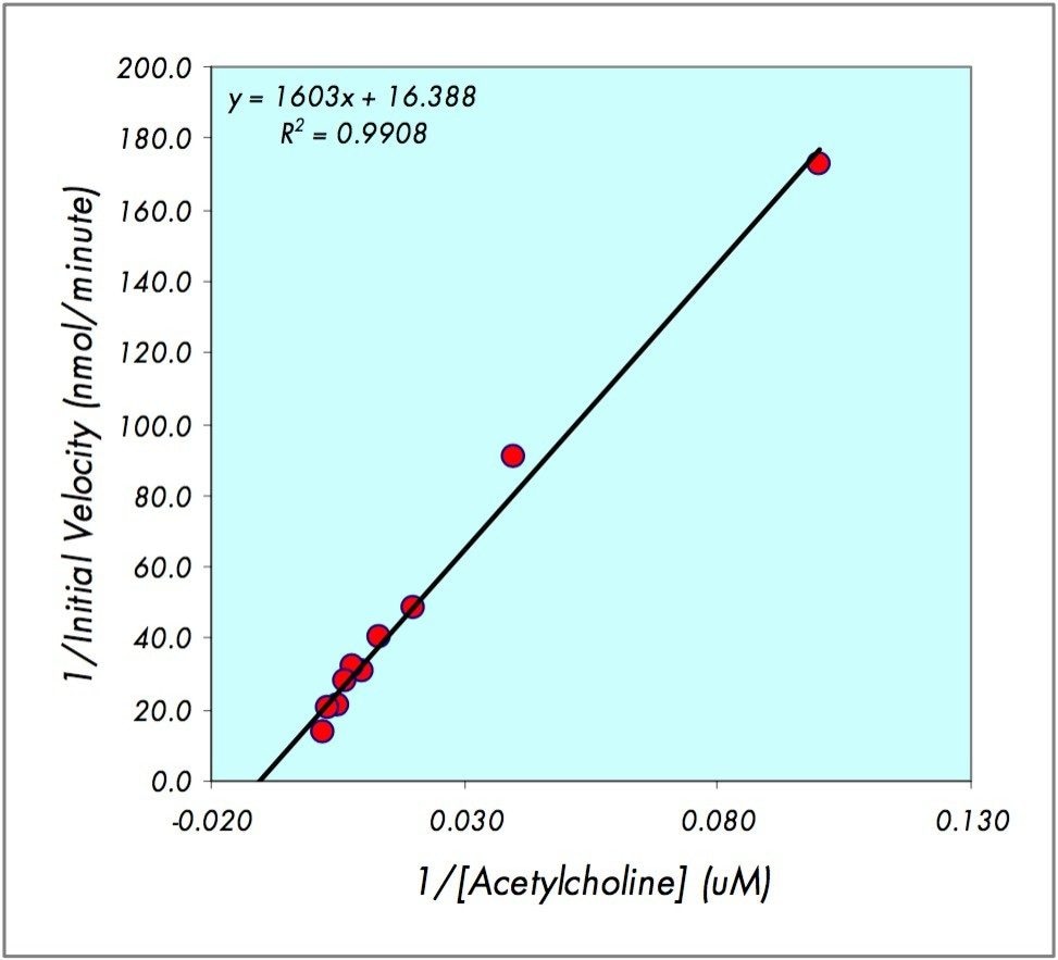  Lineweaver-Burk plot for acetylcholine esterase