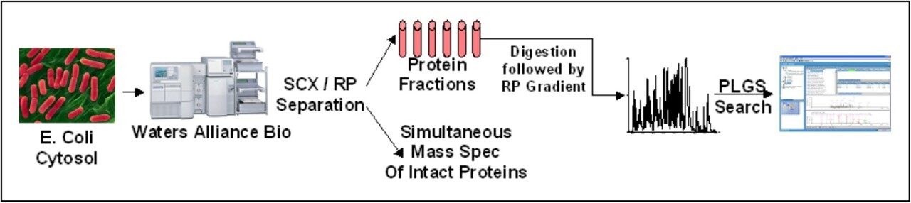 Schematic Representation of Protein Prefractionation Experiment.