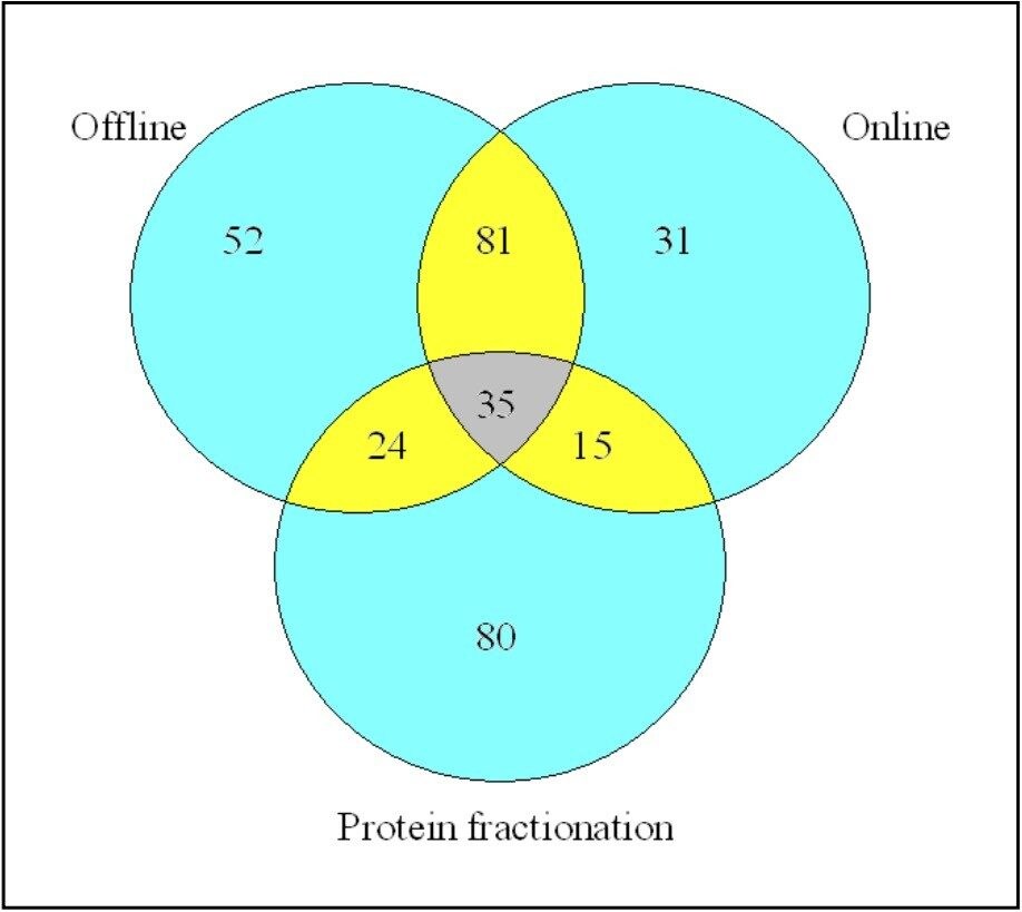 Proteins Identified in All Strategies.