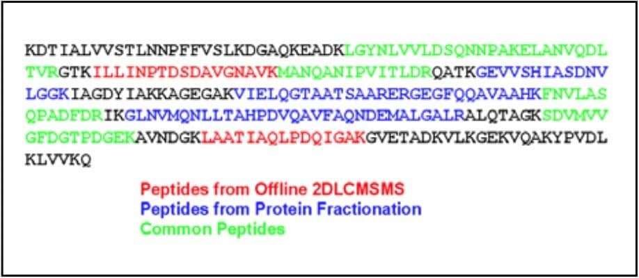 Sequence of Common Protein with Observed Peptides Highlighted.