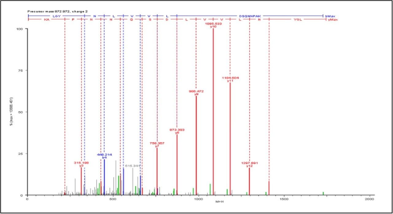 MS/MS Spectrum of Common Peptide, LGYNLVVLDSQNNPAK.