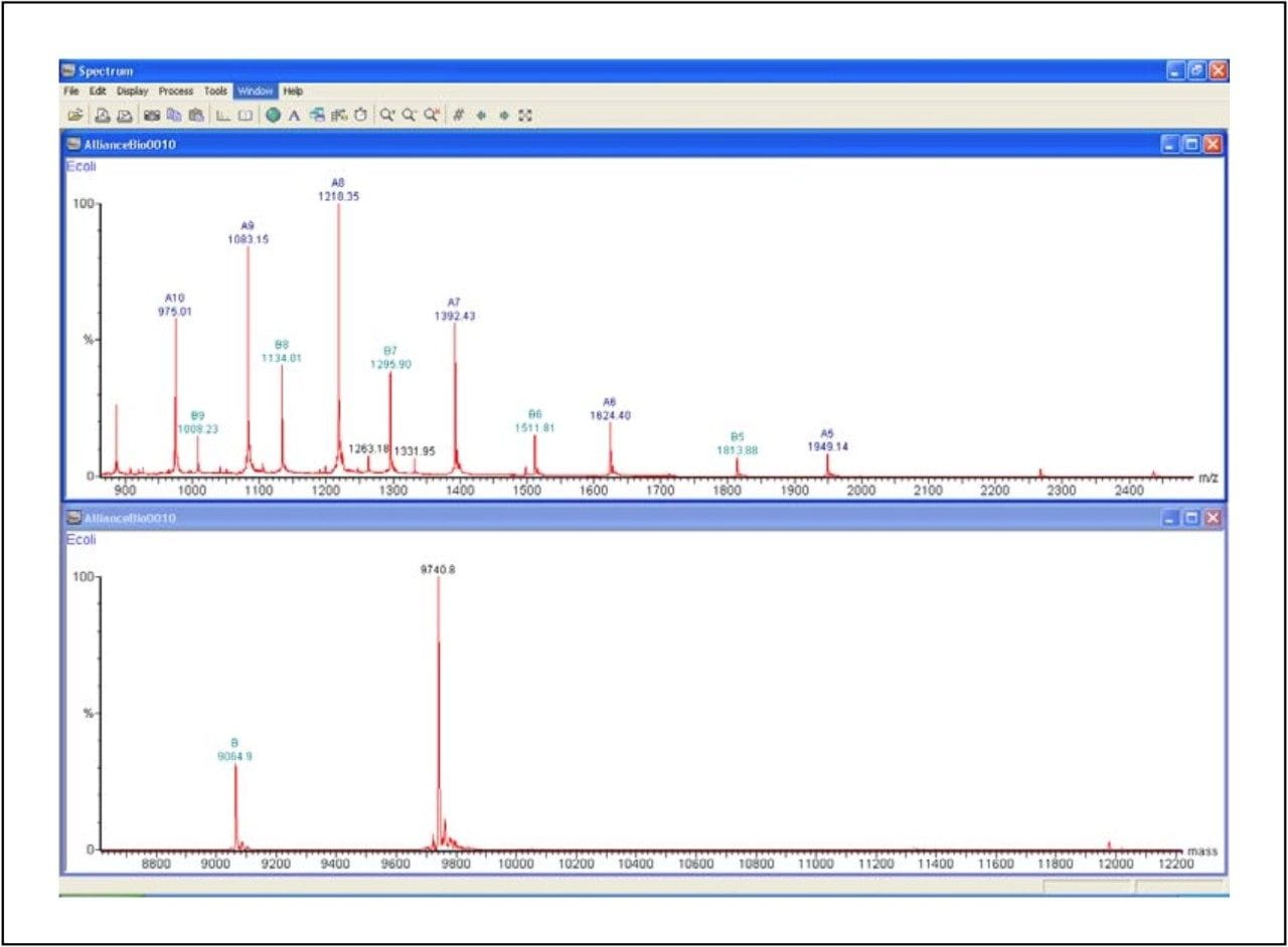 Electrospray Mass Spectrum.