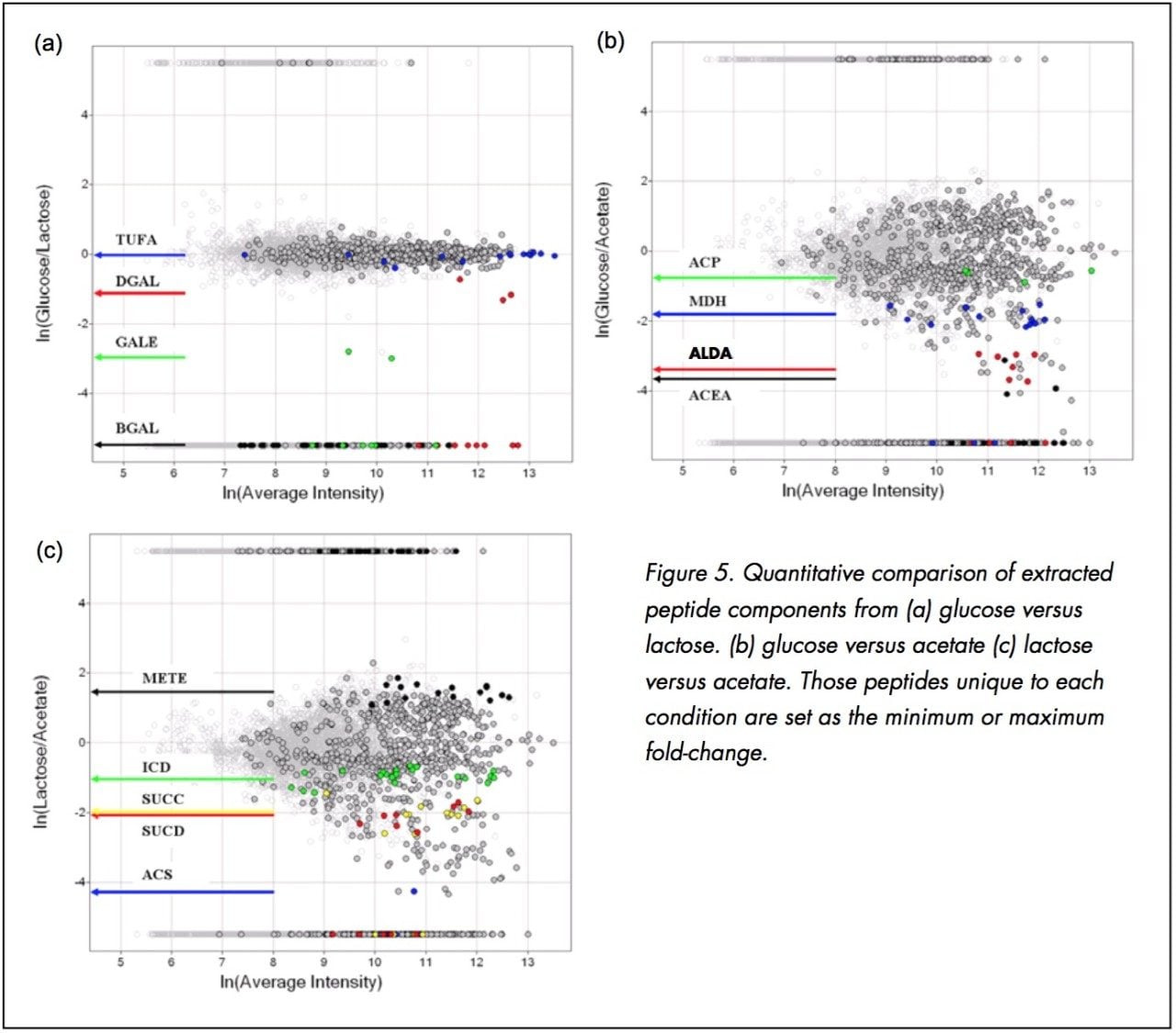 Quantitative comparison of extracted peptide components.