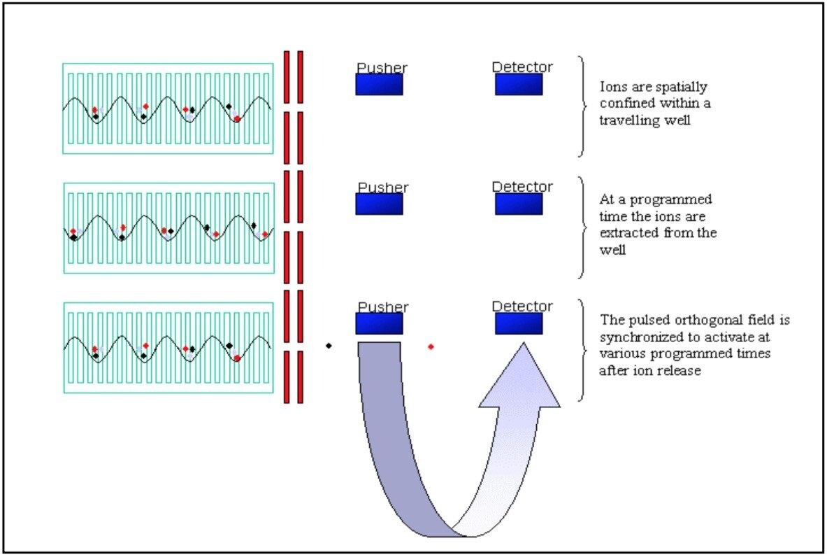 Coupling a Travelling Wave Collision Cell With an oa-Tof Analyzer for ...