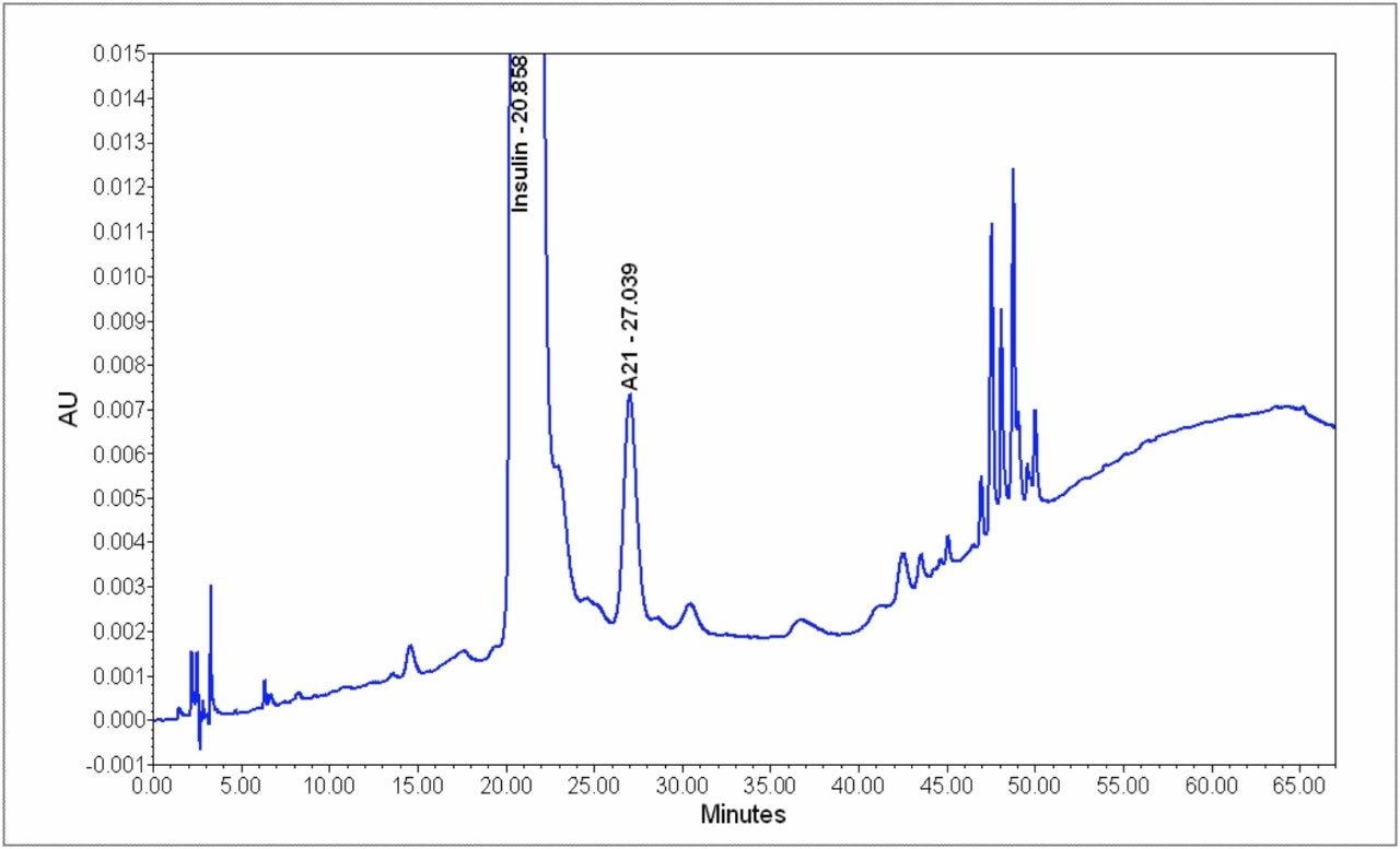 Chromatogram of the 68-minute USP HPLC method for the human insulin related compounds assay.