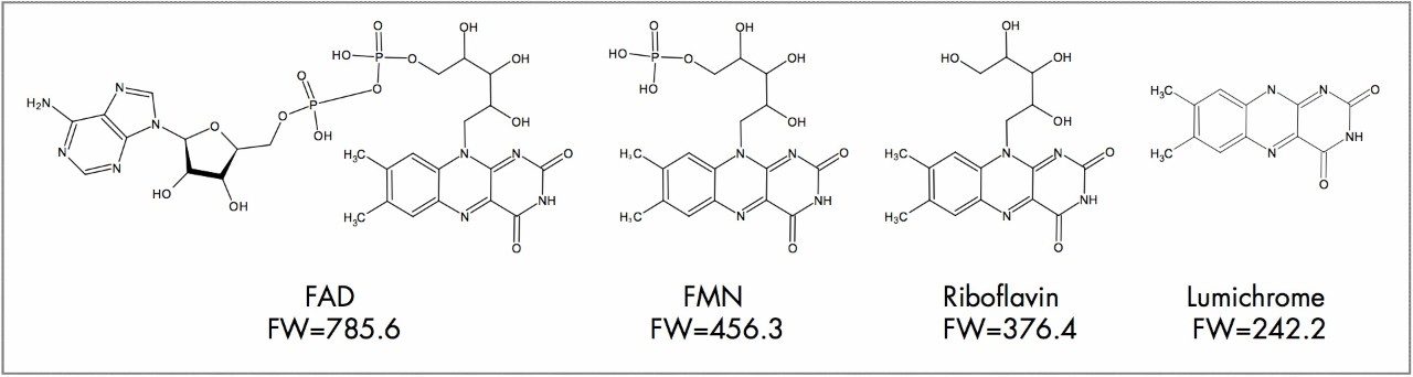 Structures of riboflavin and related compounds