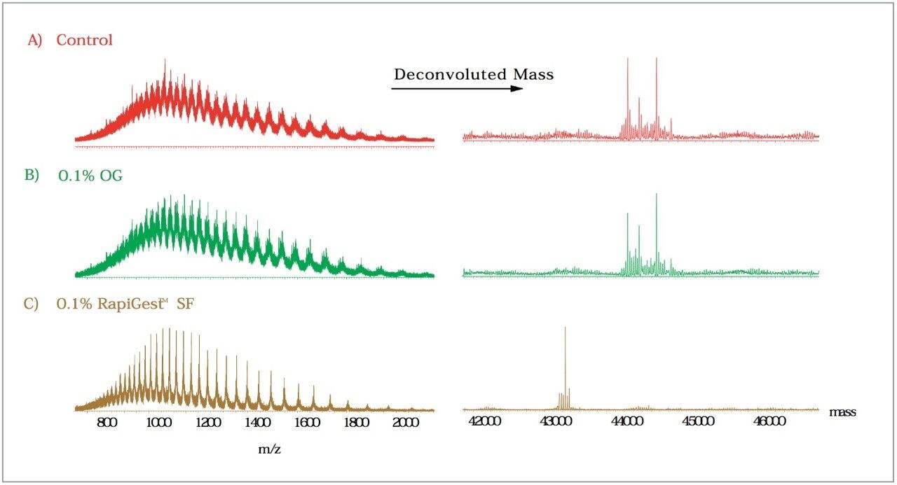 LC-MS spectra of deglycosylated ovalbumin