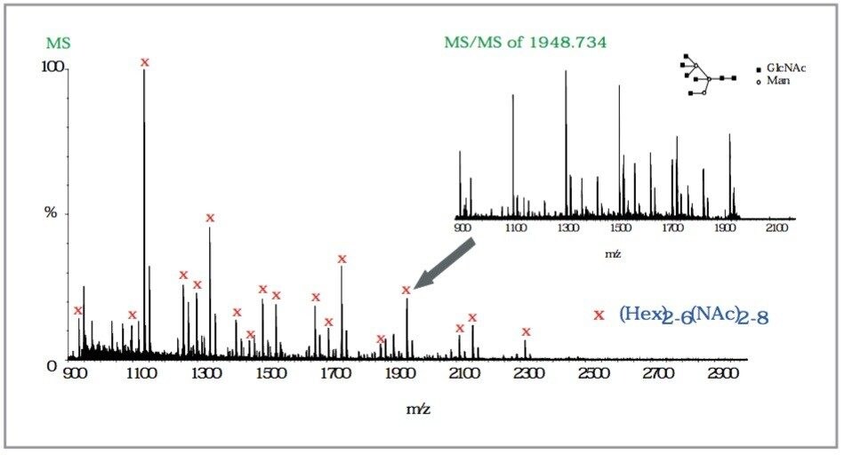 MALDI Q-Tof MS spectra of underivatized N-linked glycans