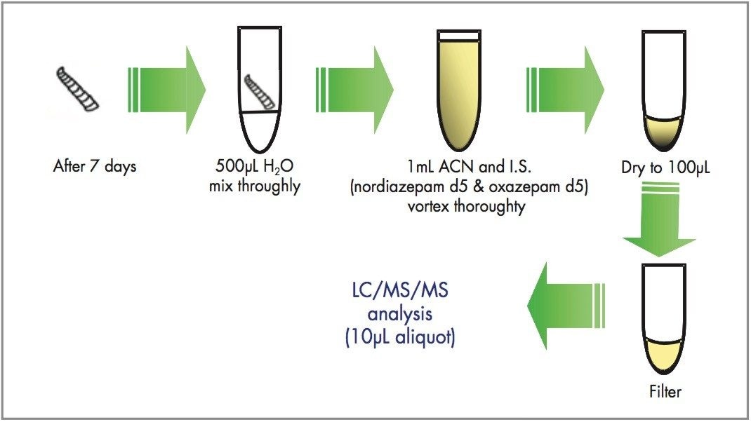 Preparation of larvae for LC-MS/MS analysis
