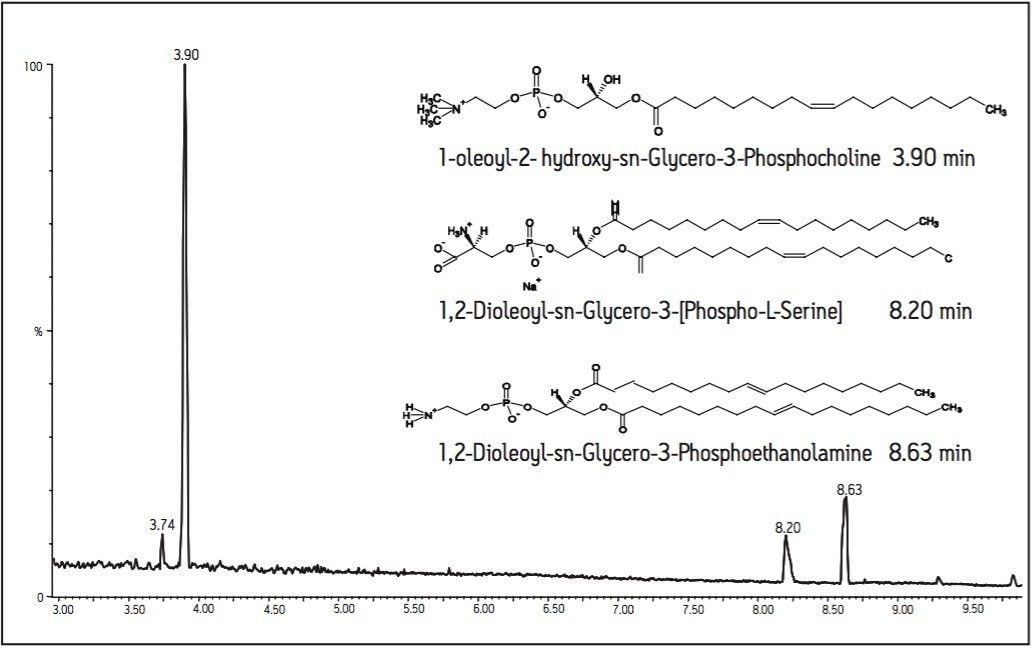 ESI negative UPLC-MS separation of phospholipids standards.