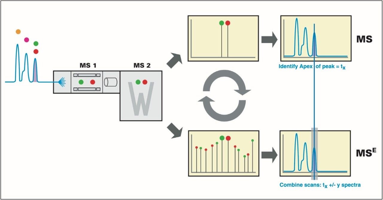 LC/MSE alternating scanning principle using nanoACQUITY UPLC and Q-Tof Premier and subsequent alignment of the low and elevated energy ions with IdentityE System software.