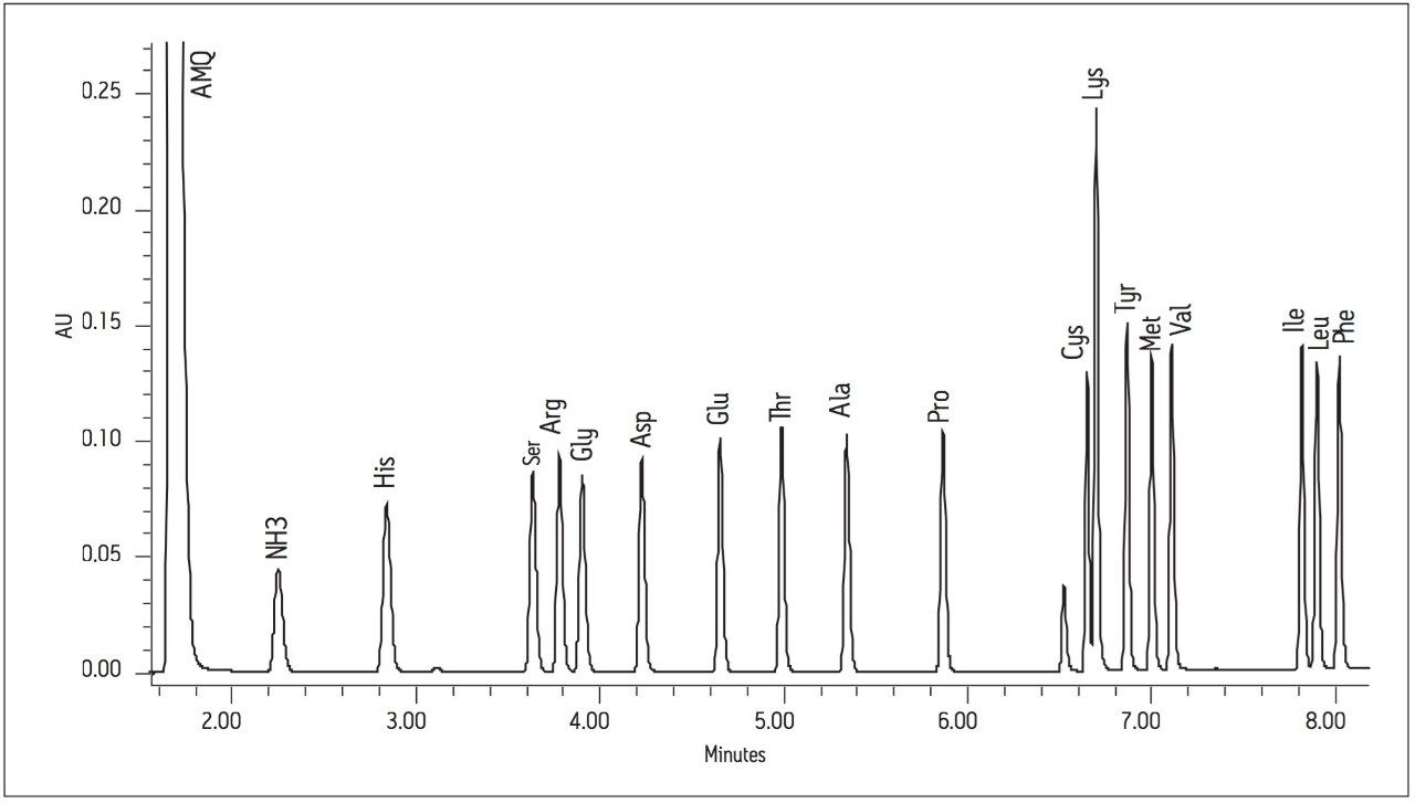 Separation of 50 pmoles of amino acid hydrolysate standard