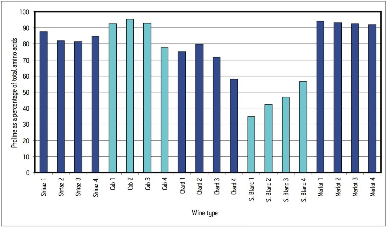 Proline amount in each wine sample relative to total amino acids in sample