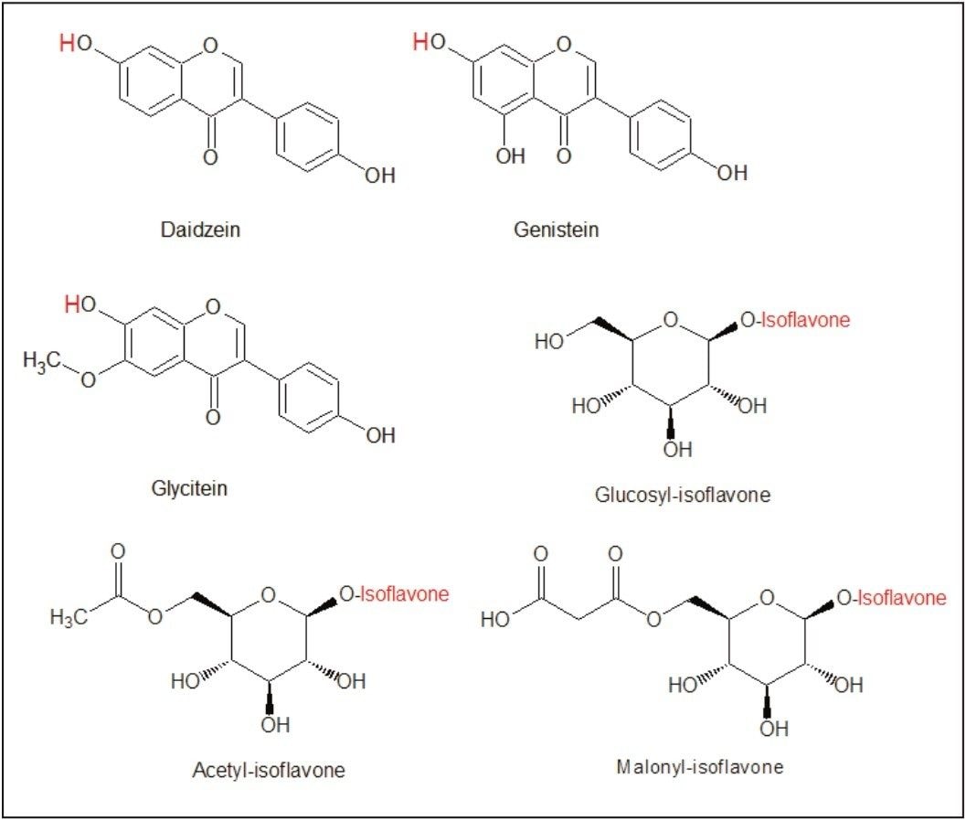 Structures of three soy isoflavones