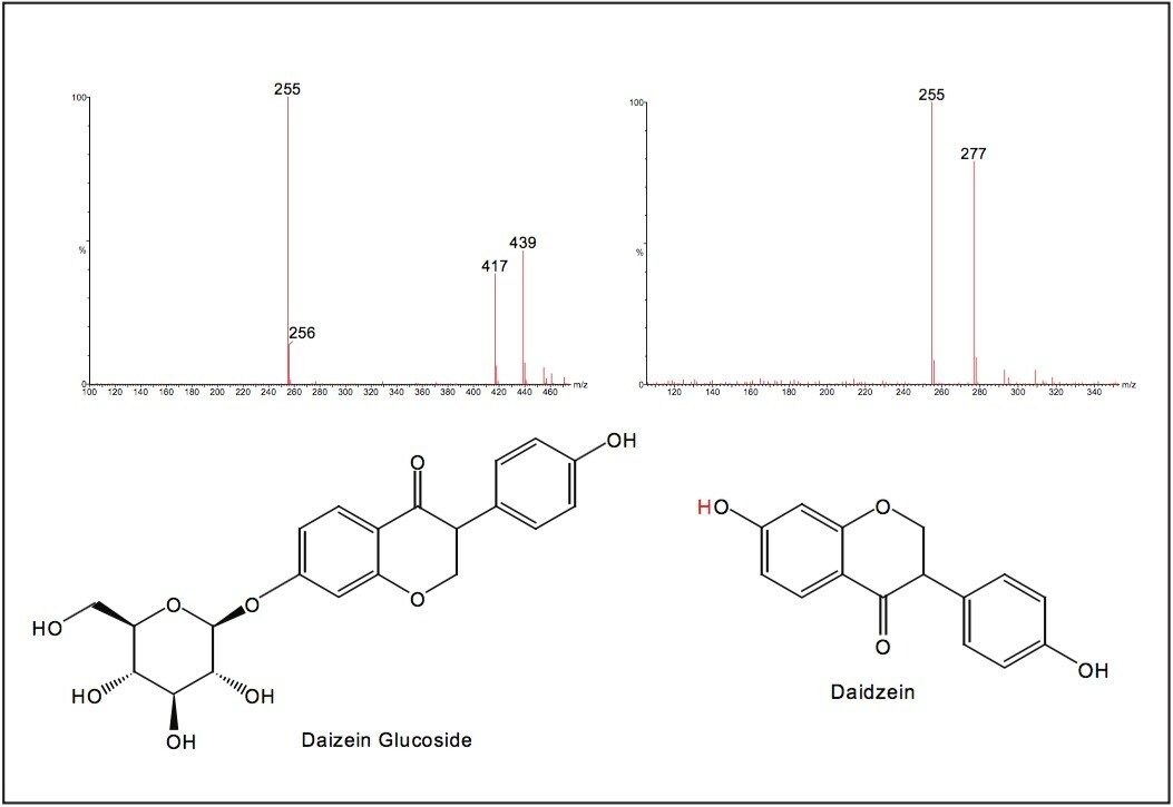 Spectra for daidzein glucoside (daidzin) and daidzein 