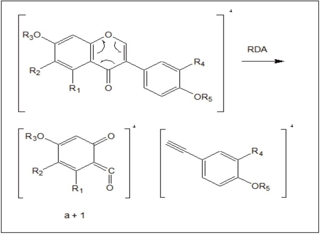Fragmentation pathway of daidzein