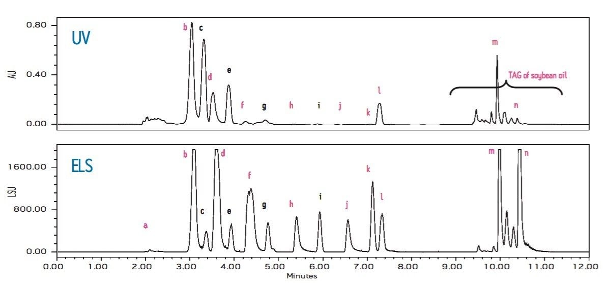 ELS and UV (210 nm) chromatograms of the standard solution using gradient method 2