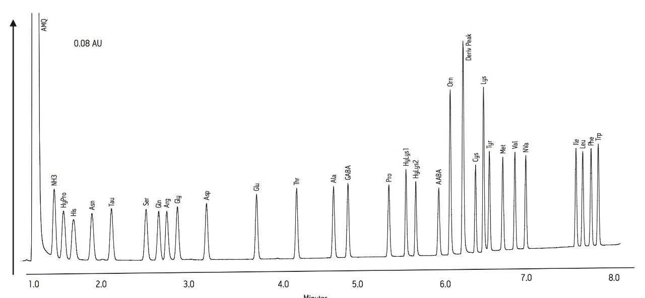 Determination of Amino Acids in Beers Using the UPLC Amino Acid