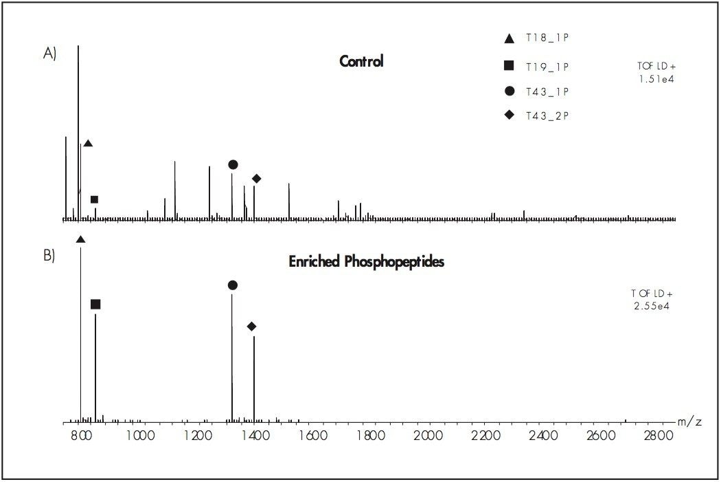 MALDI-ToF MS spectrum of a control sample.