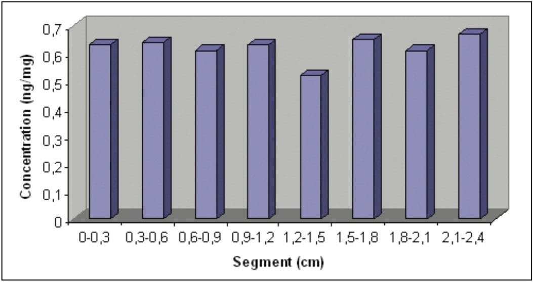Hair segmentation from a forensic case