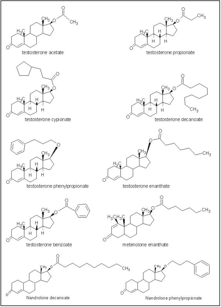 Screening for Anabolic Steroids and Their Esters Using Hair Analyzed by ...