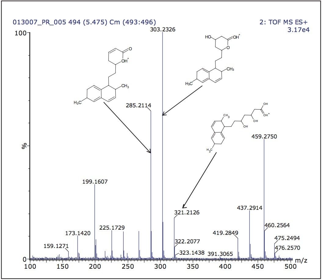 Assigned high-energy spectra of simvastatin acid