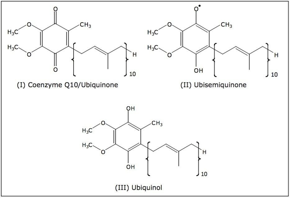 Structures of coenzyme Q10