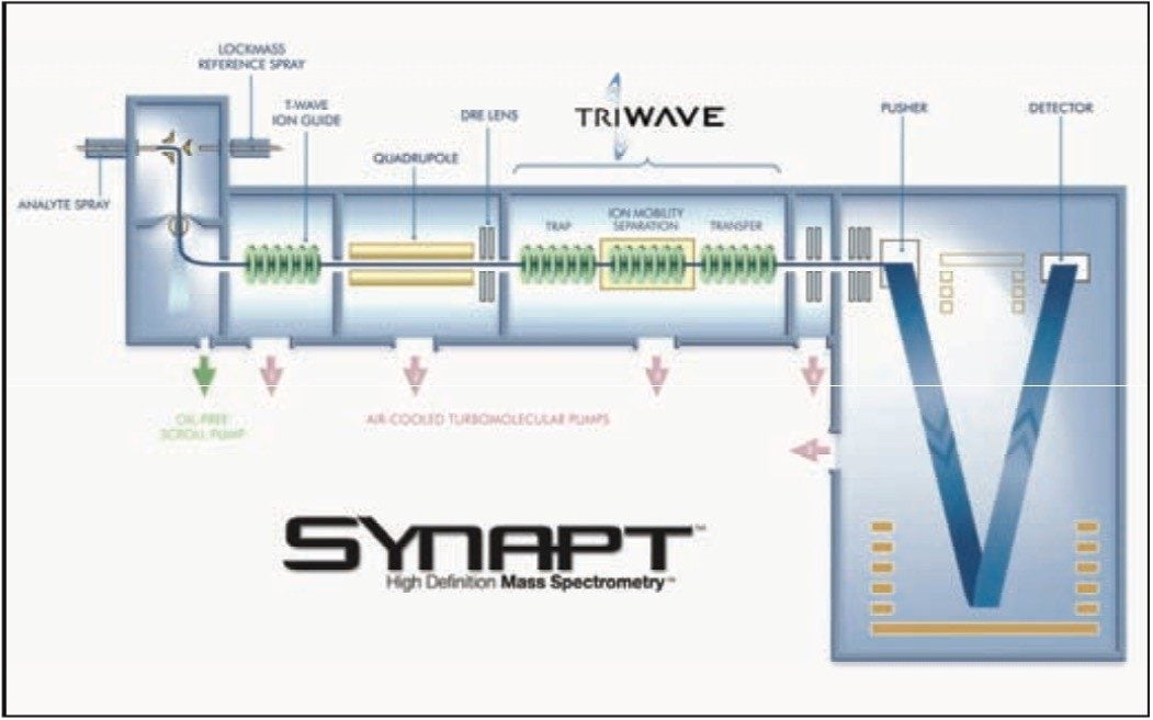 Schematic of the Synapt HDMS System, which incorporates Triwave technology