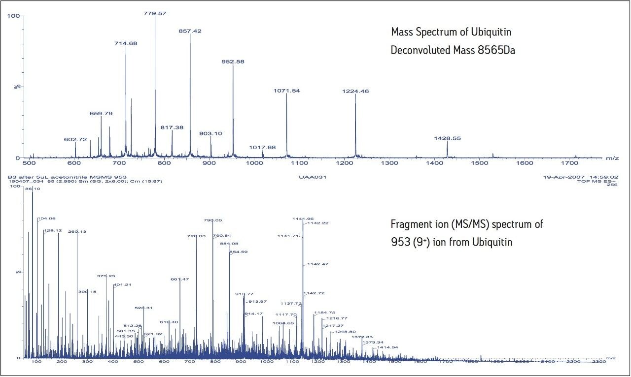 Upper panel shows typical ToF-MS data from LC separated ubiquitin, showing the multiply charged ion series from which the molecular weight is calculated