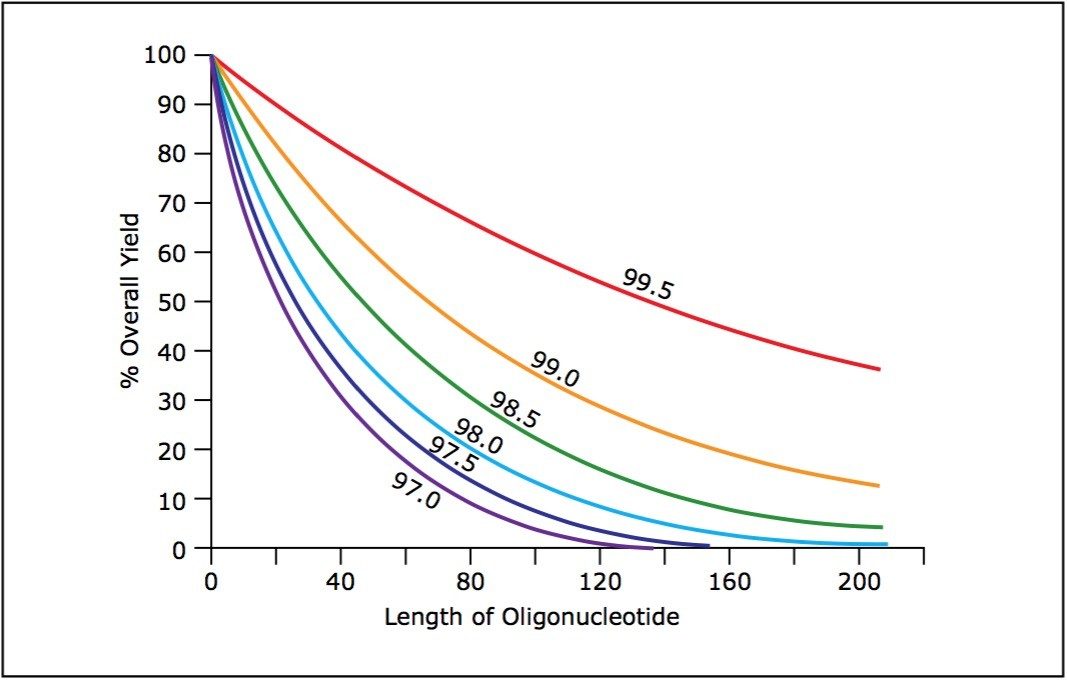 Synthetic oligonucleotide length compared to theoretical yield at various coupling efficiencies