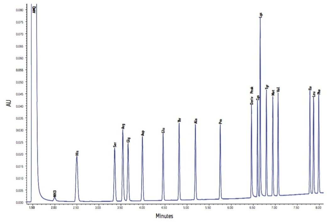 Figure 2. Analysis of Amino Acid Hydrolysate Standard, 10 pmoles each on Column