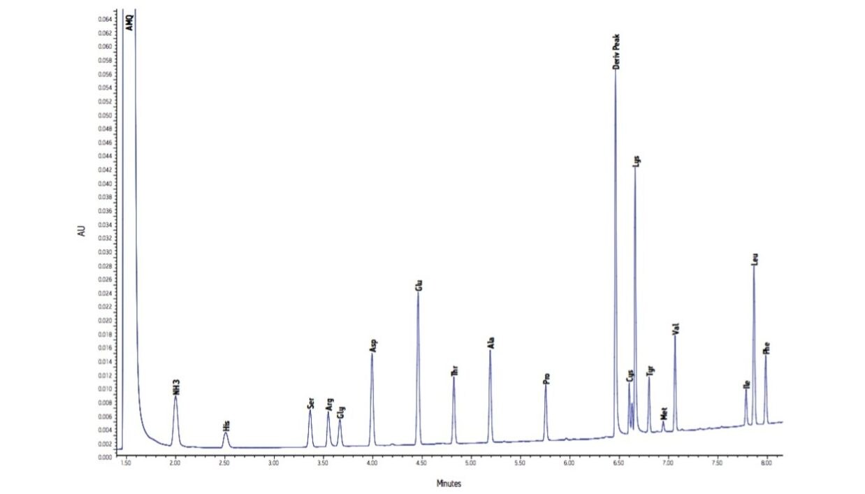 Figure 3. Analysis of BSA Hydrolysate Sample, Approximately 9 ng on Column