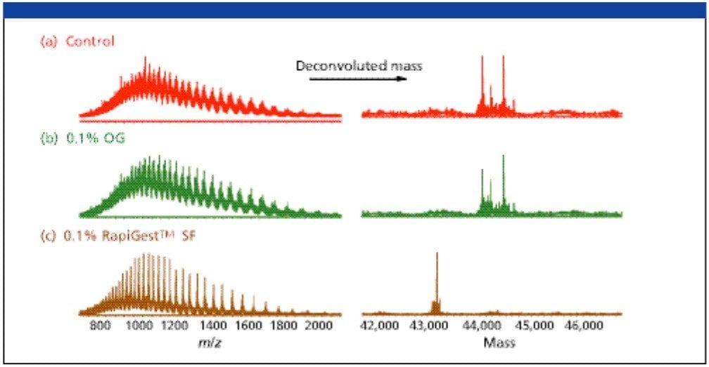 LC-MS spectra of deglycosylated ovalbumin