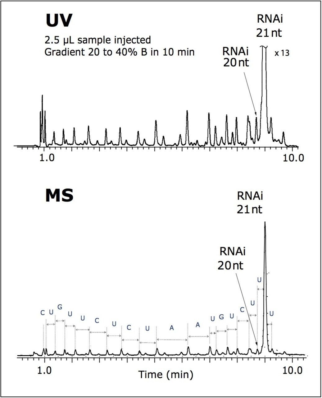 UV chromatogram and total ion chromatogram (TIC) of RNAi 21 nt.