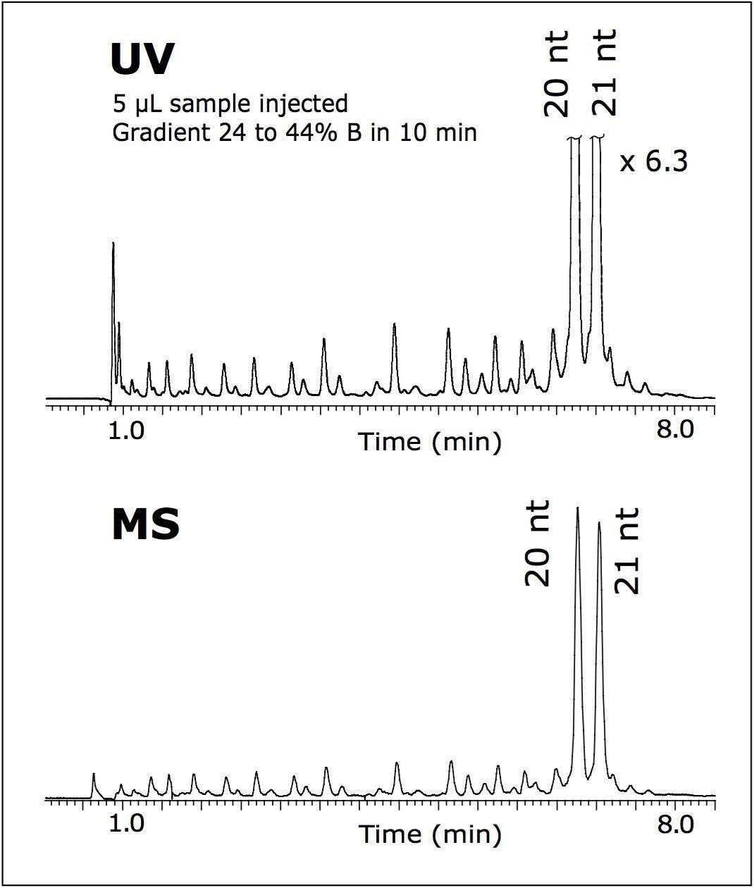 TIC and UV-chromatogram of the resolved oligomers of RNAi.