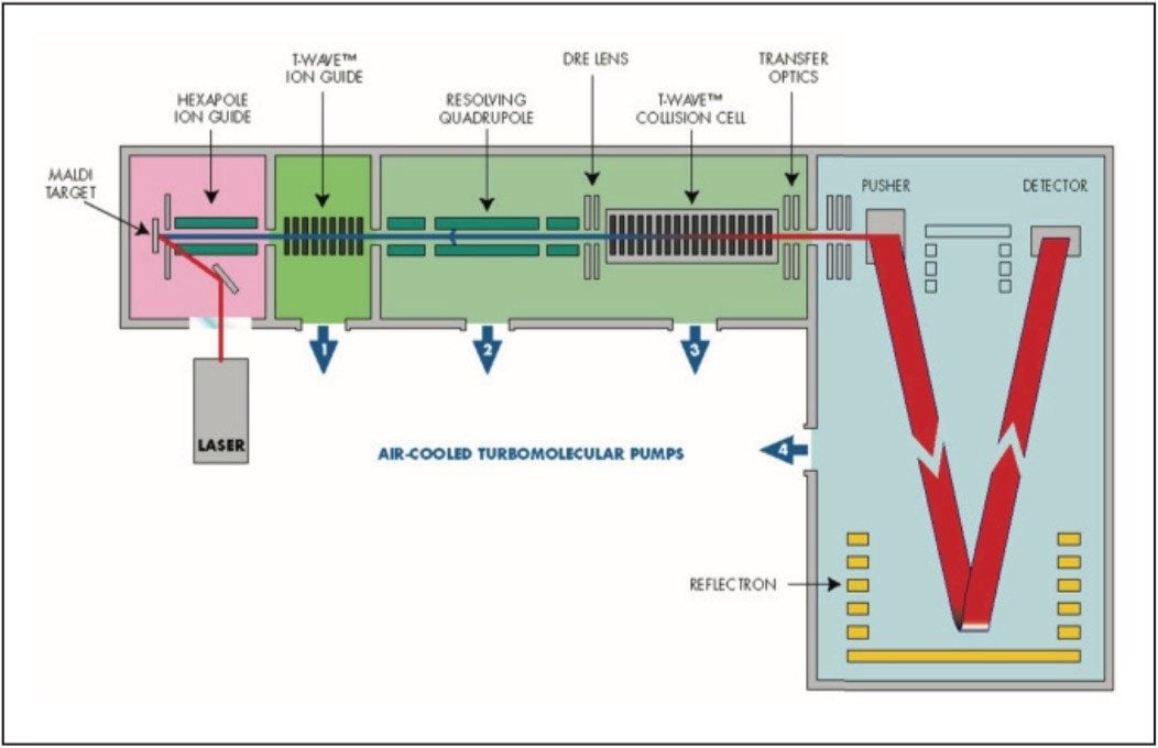 Schematic of the MALDI Q-Tof Premier