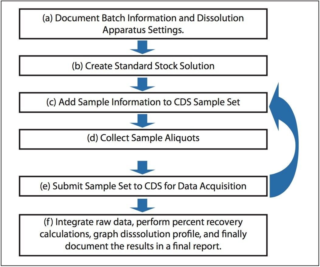 Typical dissolution study workflow